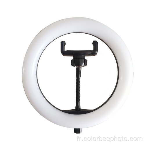 Lampe à anneau de maquillage pour selfie de bureau à DEL USB de 8 po